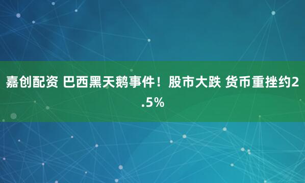 嘉创配资 巴西黑天鹅事件！股市大跌 货币重挫约2.5%